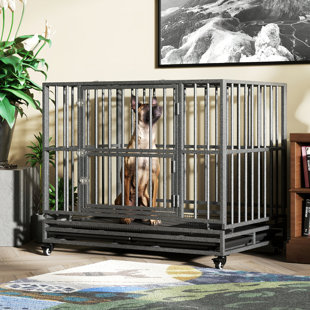 All Dog Crates Wayfair